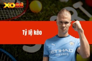 Tỷ lệ kèo - Yếu tố không thể bỏ qua trong cá cược