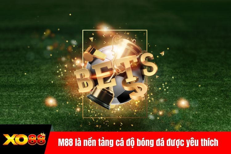 M88 là nền tảng cá độ bóng đá được yêu thích