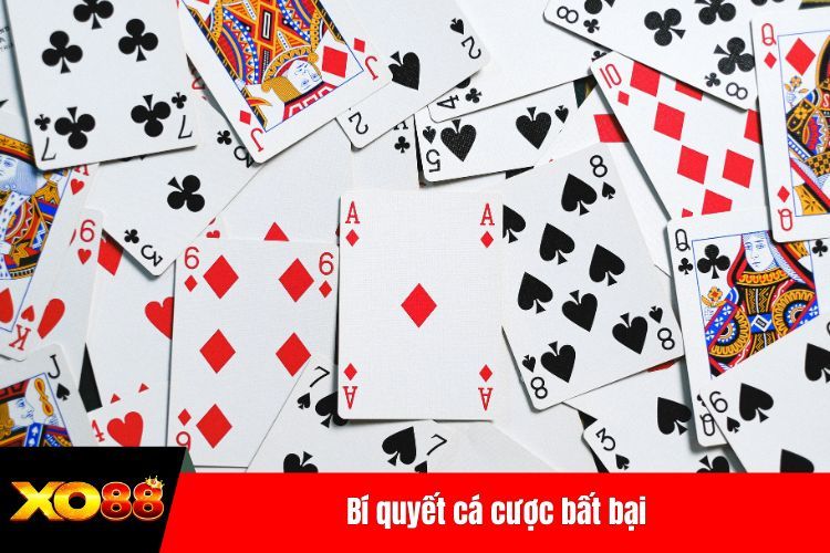 Bí quyết cá cược bất bại