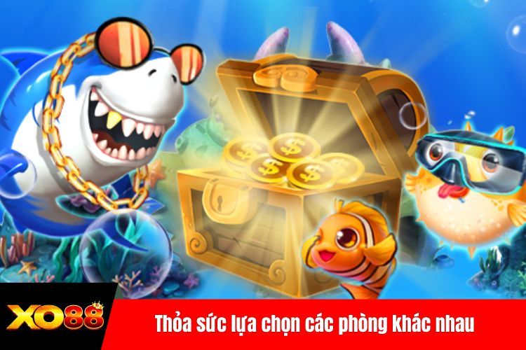 Thỏa sức lựa chọn các phòng khác nhau
