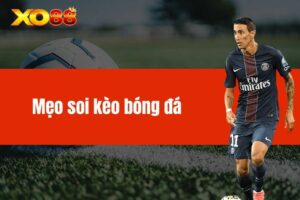 Mẹo soi kèo bóng đá chắc thắng cực hay dành cho cược thủ