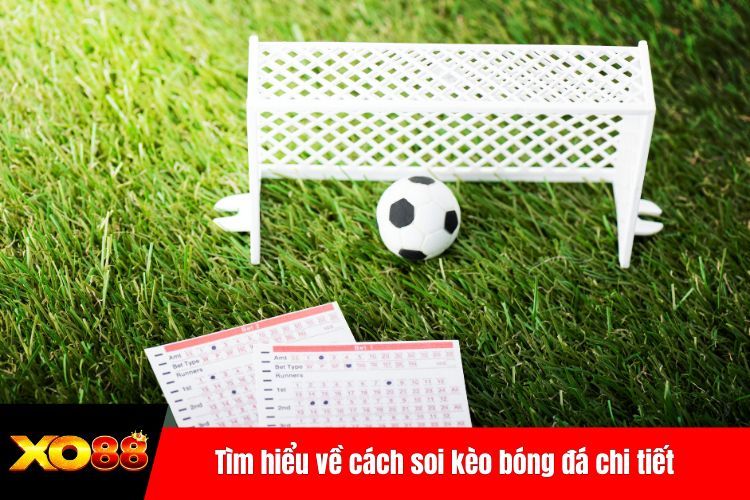 Tìm hiểu về cách soi kèo bóng đá chi tiết