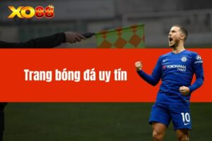 Trang bóng đá uy tín - Khám phá nền tảng cá cược hàng đầu