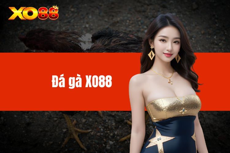 Đá Gà XO88 - Kinh Nghiệm Soi Kèo Đá Gà Chuẩn Xác Nhất